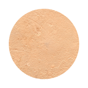 All In One Mineral Foundation Powder in Bronzer