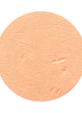 All In One Mineral Foundation Powder in Honey
