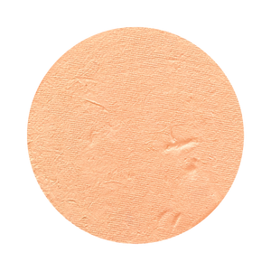 All In One Mineral Foundation Powder in Honey
