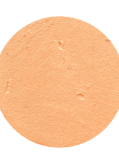 All In One Mineral Foundation Powder in Latte
