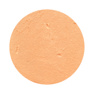 All In One Mineral Foundation Powder in Latte