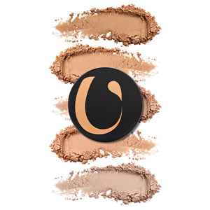All In One Complexion Enhancing Mineral Foundation Powders